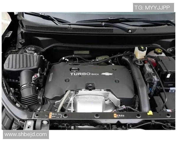 卡迪夫与莱切城激战正酣谁能在这场对决中笑到最后