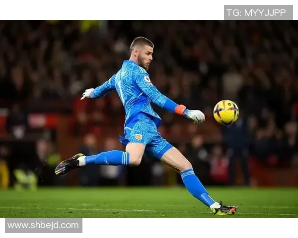 库尔图瓦的辉煌之路：从青涩门将到世界顶级守护神的传奇历程